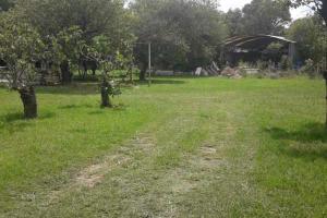 Campos Sin datos  Propiedades